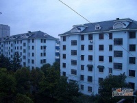 江海一区实景图11