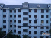 江海一区实景图11