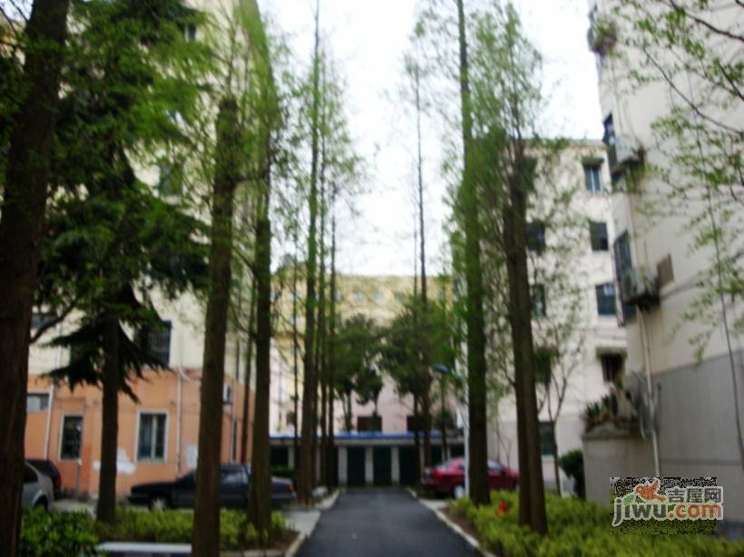 解放三区实景图图片