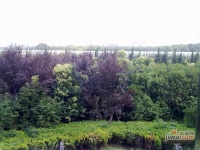江海花园实景图图片