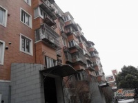 王金更住宅小区实景图13