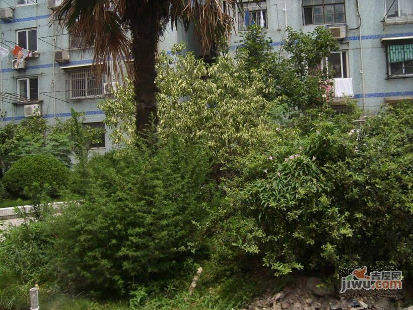 协合花苑实景图图片
