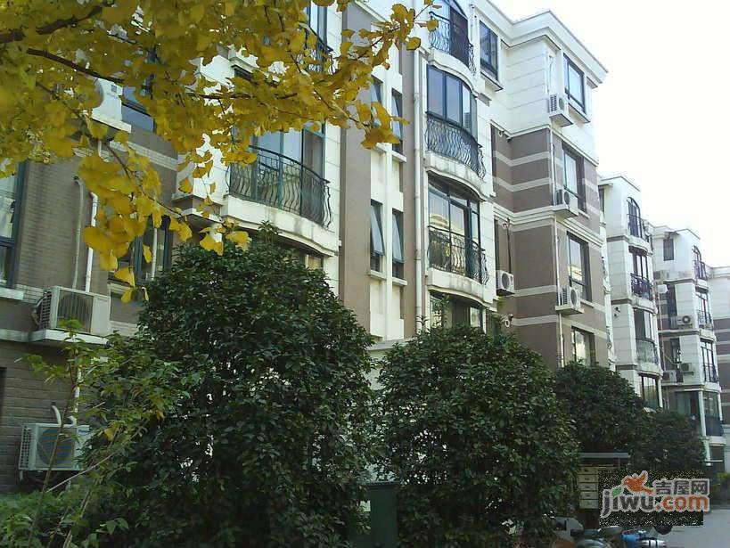 绿地公寓实景图图片
