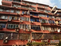 宁锦小区实景图13