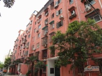 宁锦小区实景图13