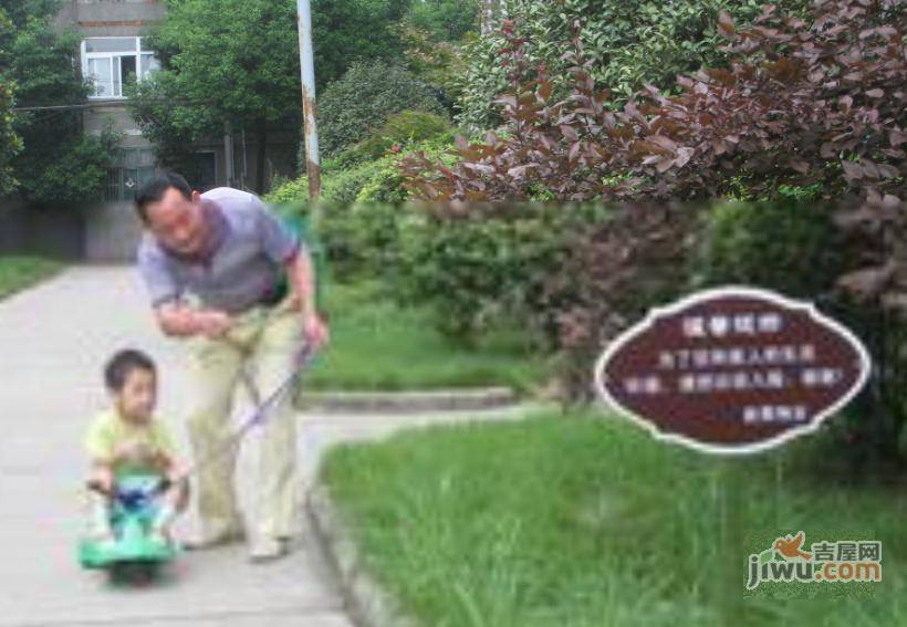 新风小区实景图图片