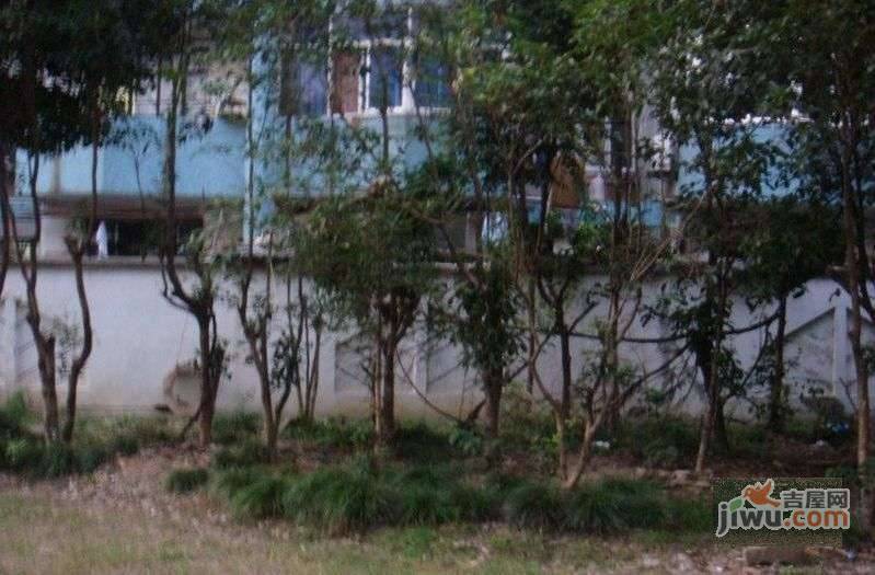 科宁小区实景图图片