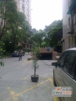 新华路393弄小区实景图图片