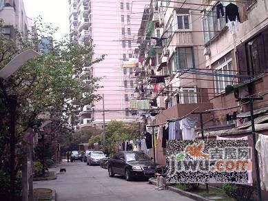 新华路393弄小区实景图10