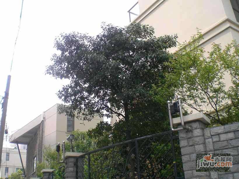 良华公寓实景图图片