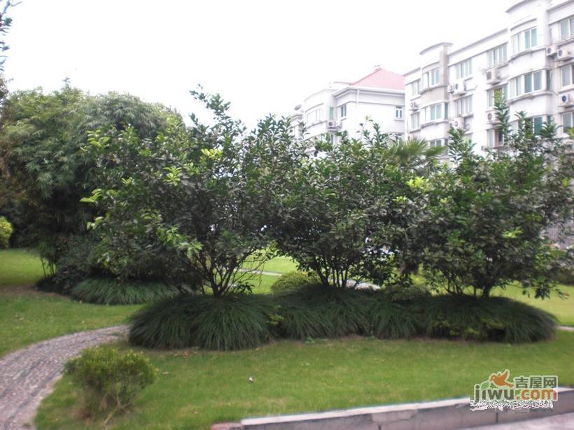 虹延公寓实景图图片