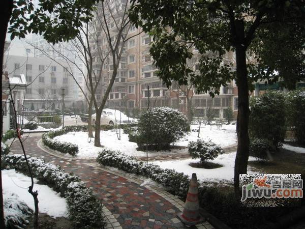 佳达新苑实景图图片
