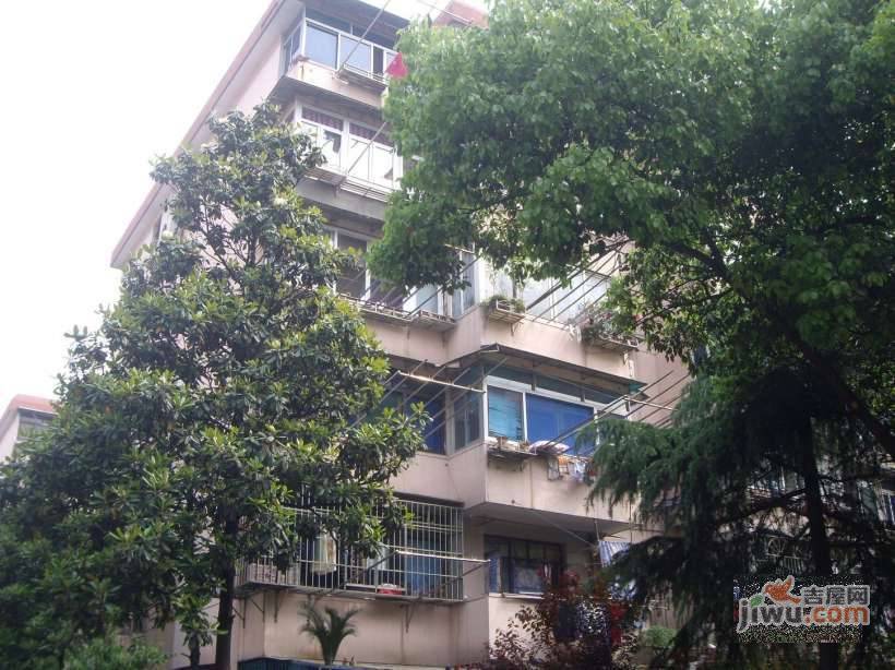 通河七村实景图图片