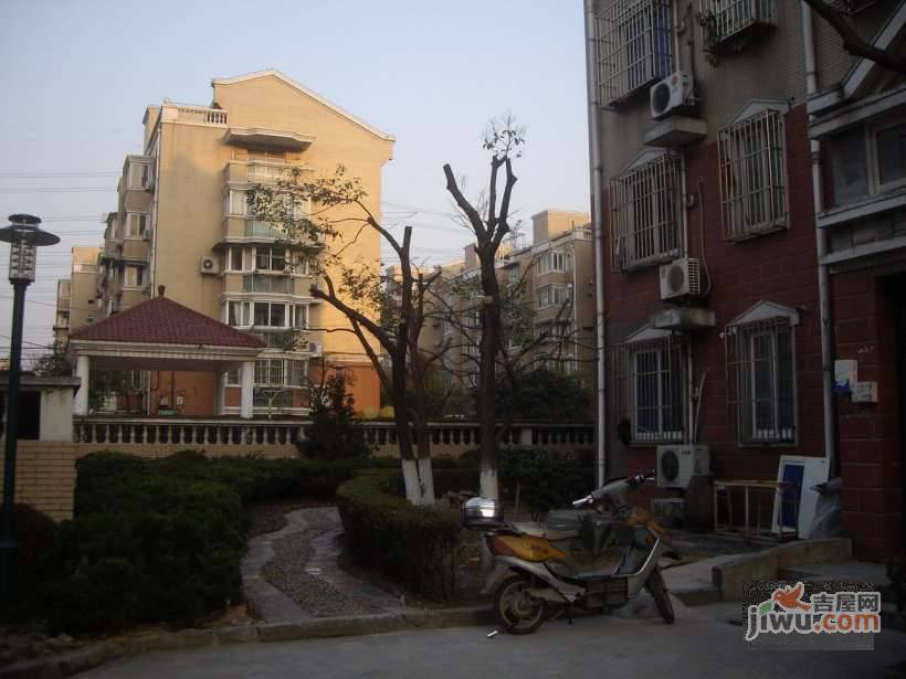 共富三村实景图图片