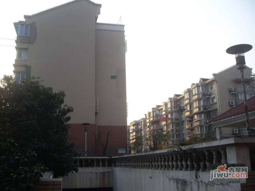共富三村实景图图片