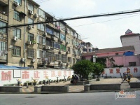 杨泰一村实景图图片