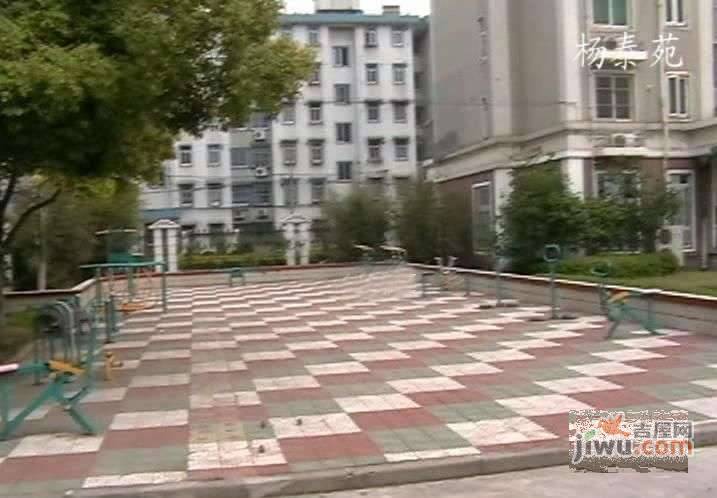 杨泰苑实景图图片