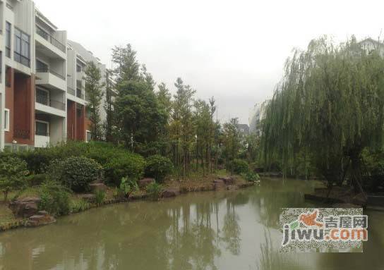 金兰雅墅实景图图片
