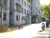 泗塘七村实景图19