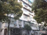 金棠苑实景图7