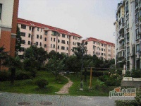 金棠苑实景图7
