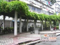 金棠苑实景图7