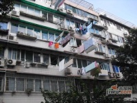 金棠苑实景图7