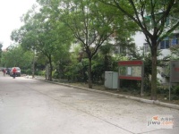 泗塘八村实景图9