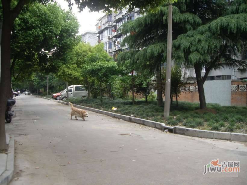 泗塘六村实景图图片