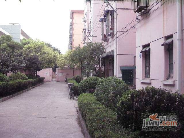 通河新村实景图图片