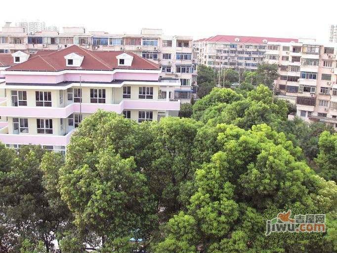 通河新村实景图图片