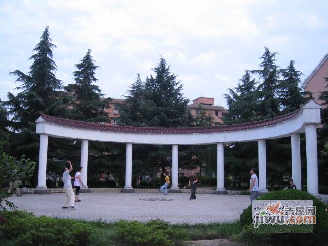 宝山锦泰苑实景图图片