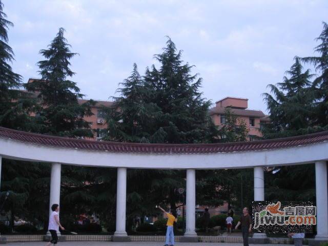 宝山锦泰苑实景图图片
