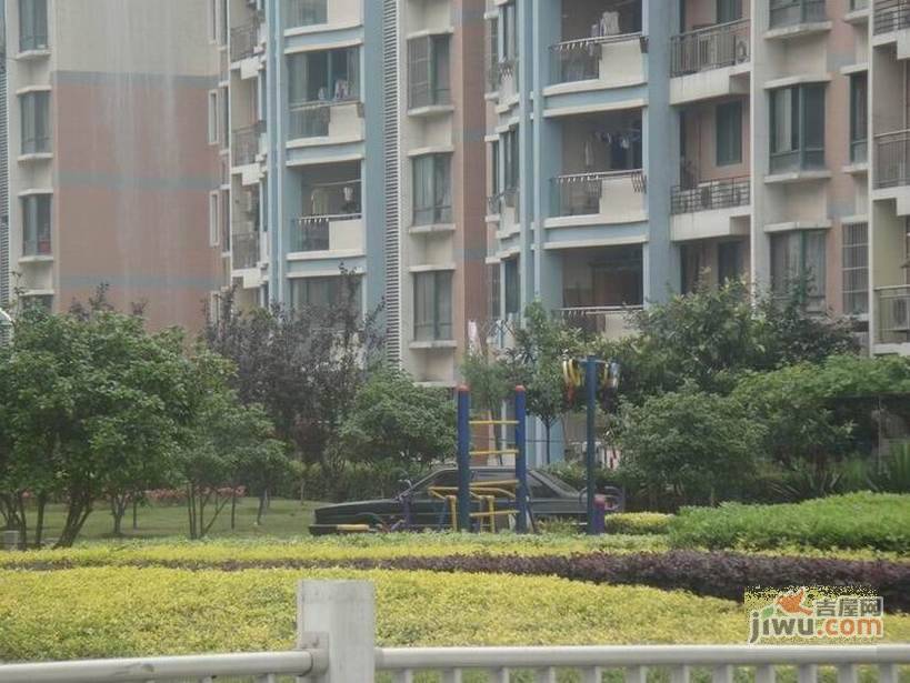 宝山锦泰苑实景图图片