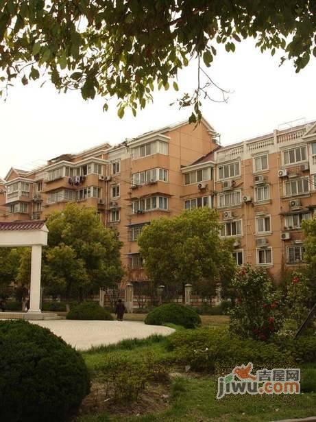 宝山锦泰苑实景图图片