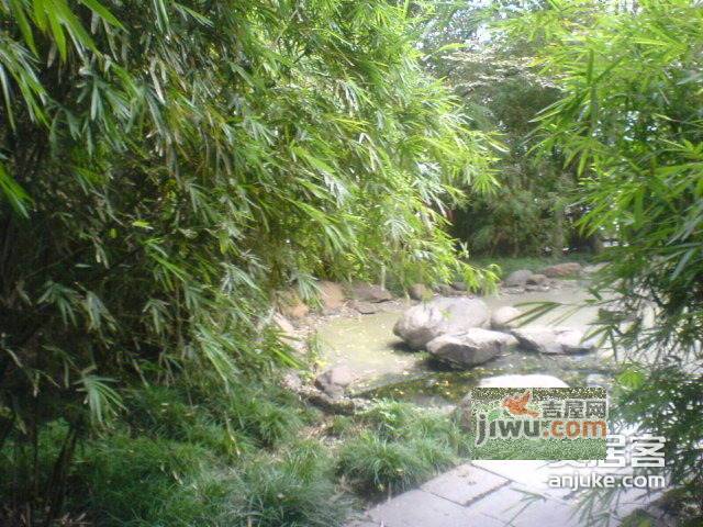 复兴新苑实景图图片