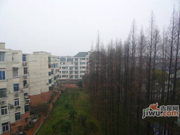 红旗五村实景图图片