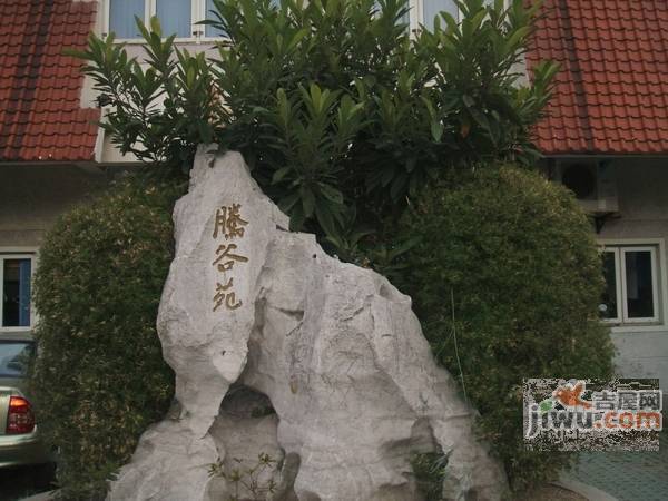 腾谷苑实景图图片