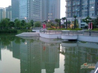 禹洲金桥国际实景图图片