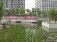 禹洲金桥国际实景图图片