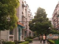 杨南新村实景图图片