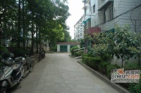 共康六村实景图图片