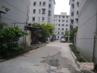 泗塘七村实景图图片