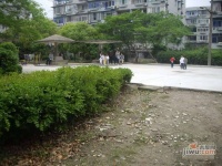 泗塘七村实景图图片