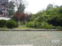 淞南六村实景图图片