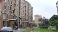 新顾村大家园B区实景图图片