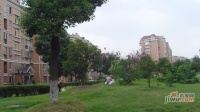 新顾村大家园B区实景图图片