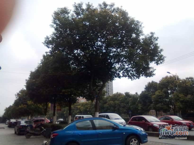 丽景花园实景图图片