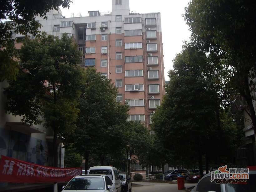 新共富二村实景图图片