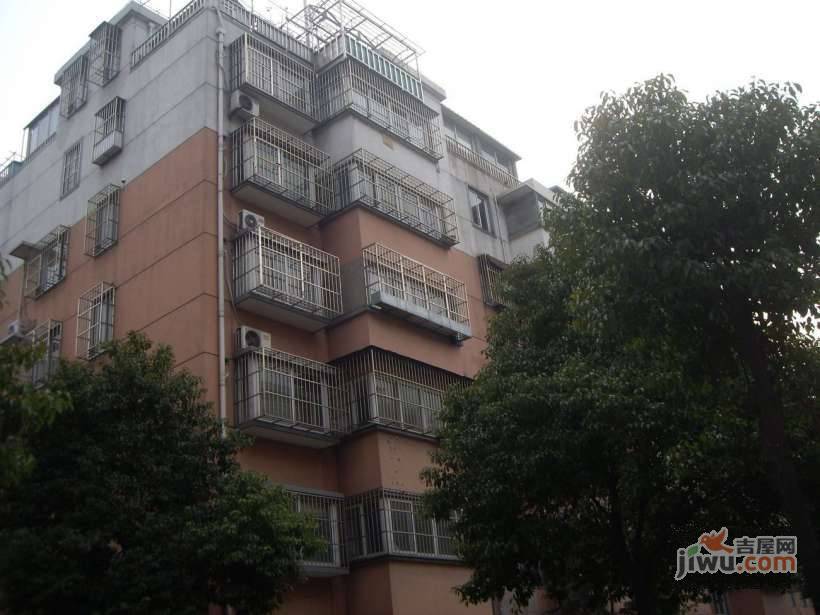 新共富二村实景图图片